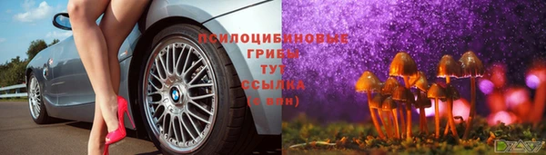 метадон Кемь