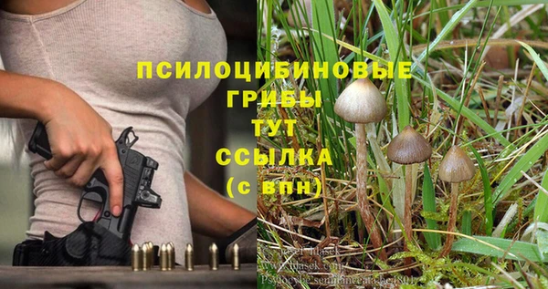 меф Заволжск