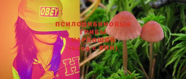 ECSTASY Заволжье