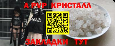 стаф Донецк