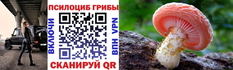 нарко площадка наркотические препараты  ОМГ ОМГ ССЫЛКА  Саяногорск  Галлюциногенные грибы GOLDEN TEACHER 