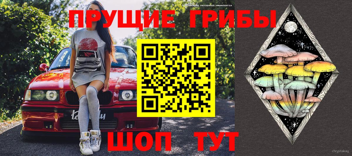Псилоцибиновые грибы прущие грибы  Галлюциногенные грибы прущие грибы  Саяногорск  Вход с VPN 