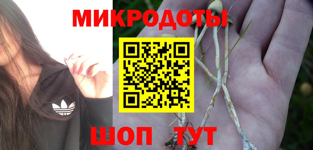 Галлюциногенные грибы GOLDEN TEACHER Саяногорск